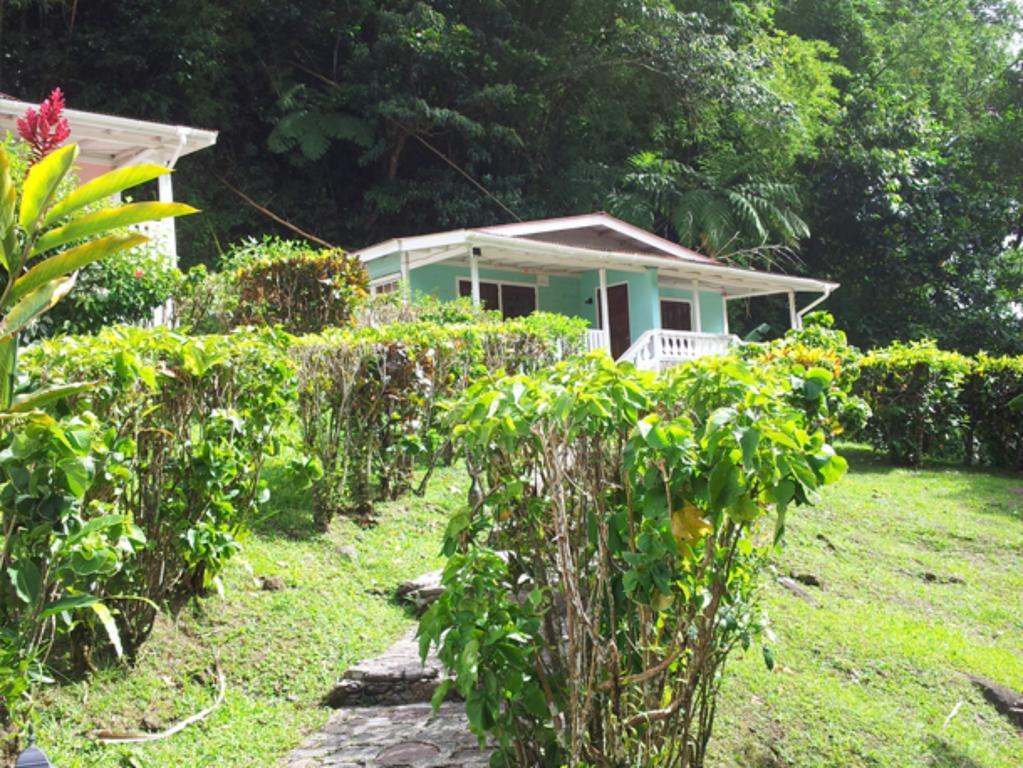 Chez Ophelia Cottage Apartments Roseau Quarto foto