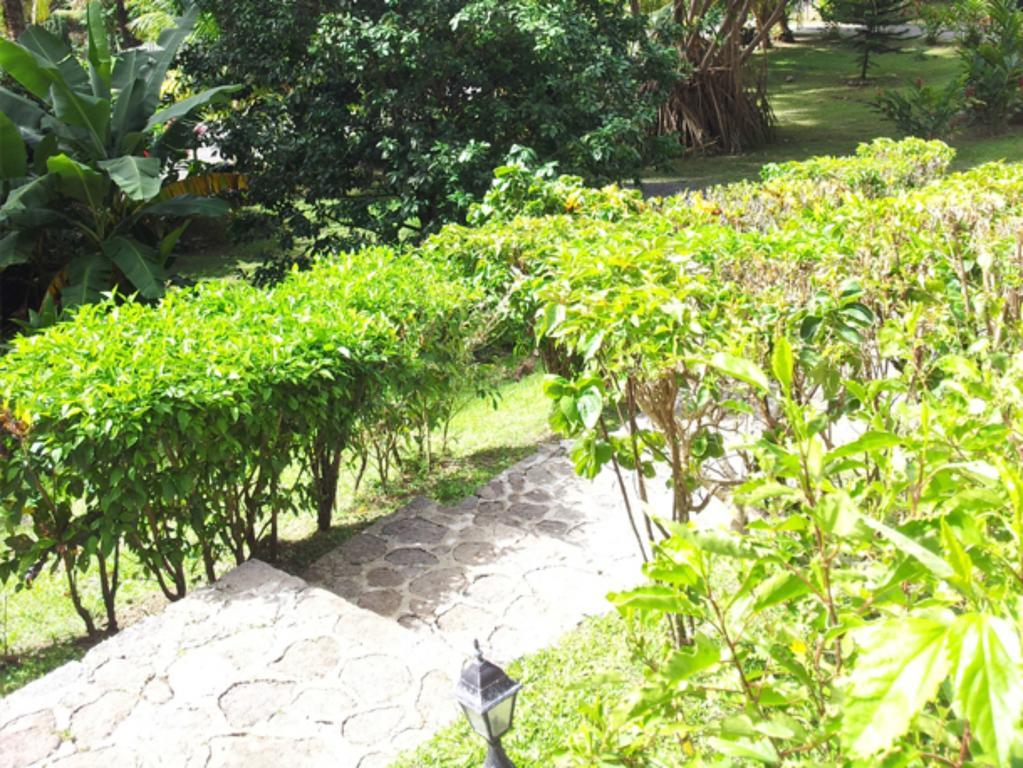 Chez Ophelia Cottage Apartments Roseau Quarto foto